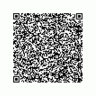 vCard 79331010140