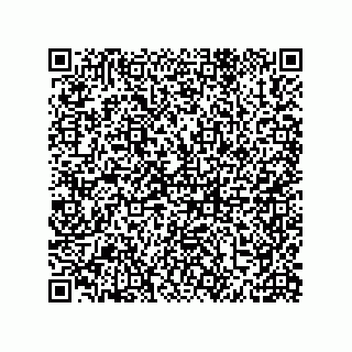 vCard 79331010153