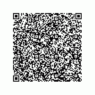 vCard 79331010163
