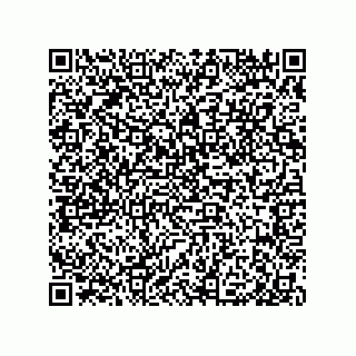 vCard 79331010197