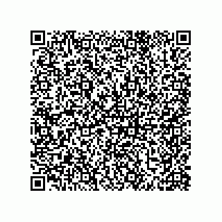 vCard 79331010201