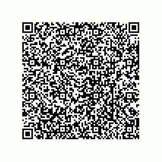 vCard 79331010239