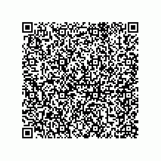 vCard 79331010243