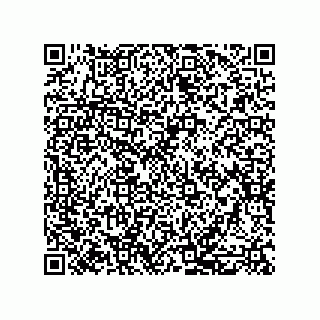 vCard 79331010263