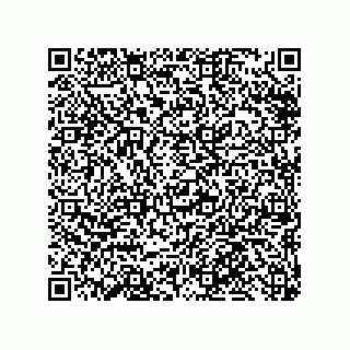 vCard 79331010271