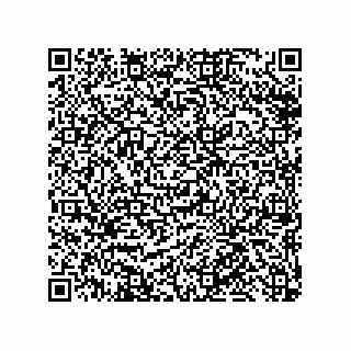 vCard 79331010303
