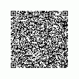 vCard 79331010335