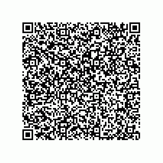 vCard 79331012035