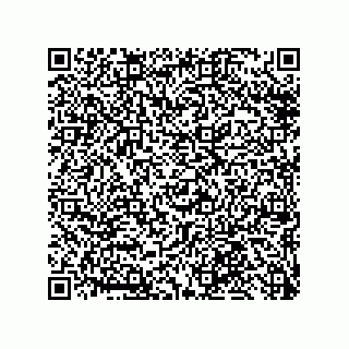 vCard 79331012384