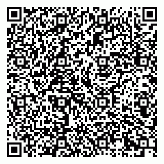 vCard 79333000039
