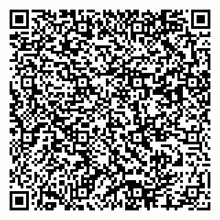 vCard 79333000380