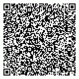 vCard 79333000539