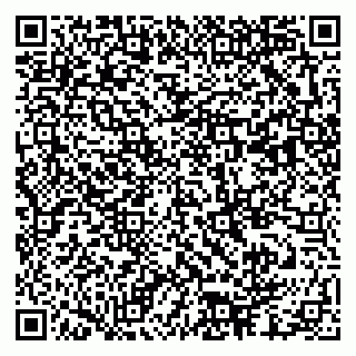 vCard 79333002100