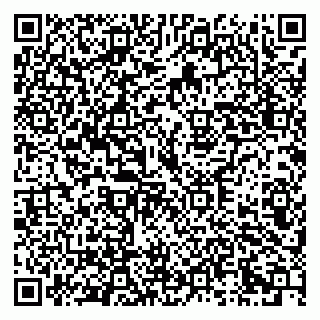 vCard 79333002239