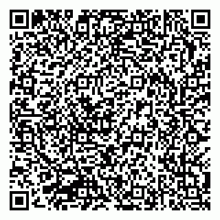 vCard 79333002339