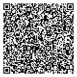 vCard 79333003339