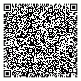 vCard 79333003539