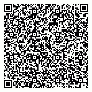 vCard 79333004300
