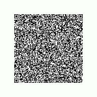 vCard 79333103197