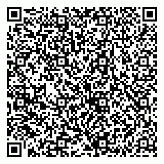 vCard 79335535520