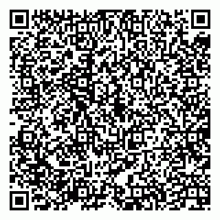 vCard 79335535609