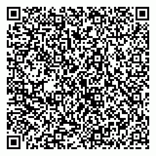 vCard 79335537159