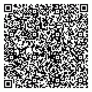 vCard 79335537221