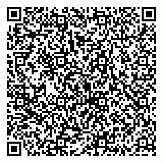 vCard 79335537234