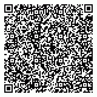 vCard 79335537291