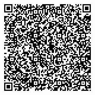 vCard 79335537319