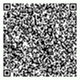 vCard 79335537368