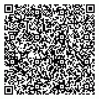 vCard 79335537881