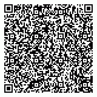 vCard 79335537961