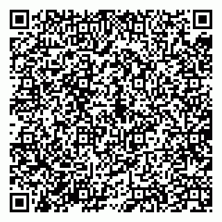 vCard 79335538021