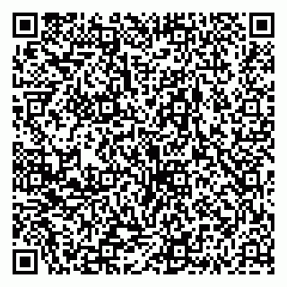 vCard 79335538026