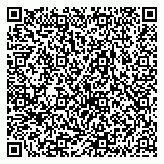 vCard 79335538042