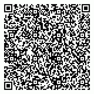 vCard 79335538051