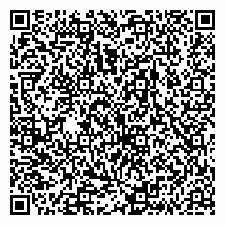 vCard 79335538054