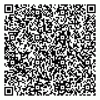 vCard 79335538061