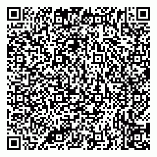 vCard 79335538315