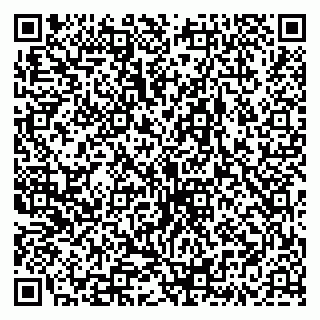 vCard 79335538321