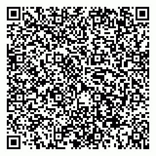 vCard 79335538380
