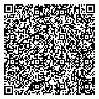 vCard 79335538390