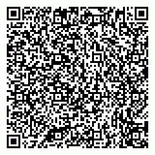vCard 79335538492