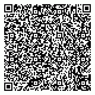 vCard 79335538497