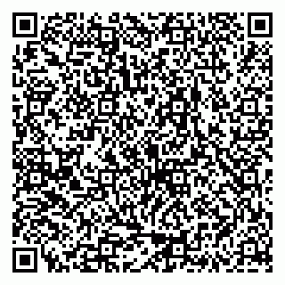 vCard 79335538600