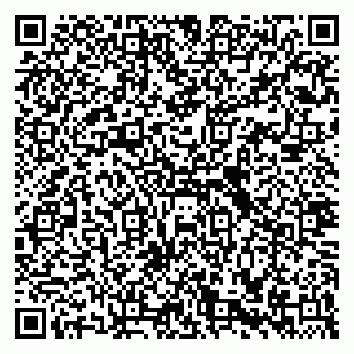 vCard 79335538603