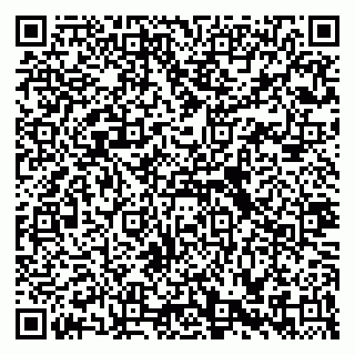 vCard 79335538625