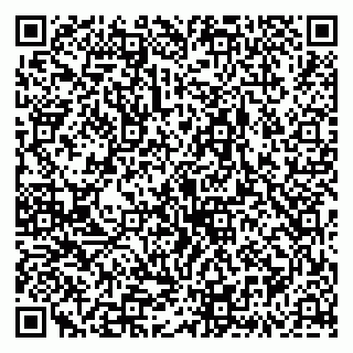 vCard 79335538628