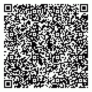 vCard 79335538631